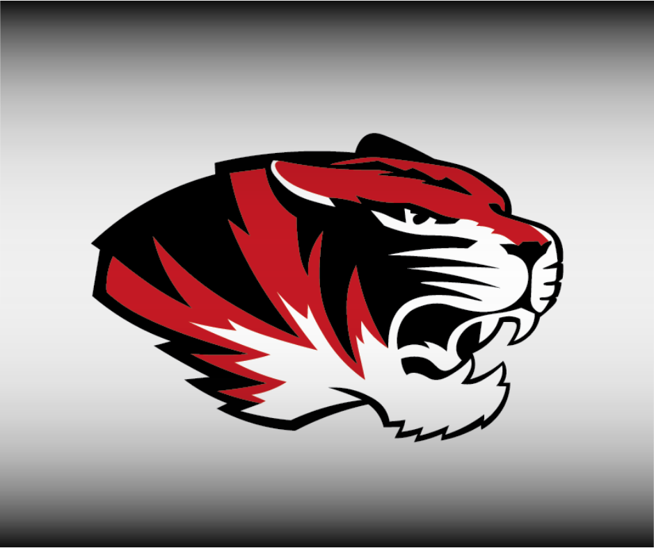 Tiger Head Logo 