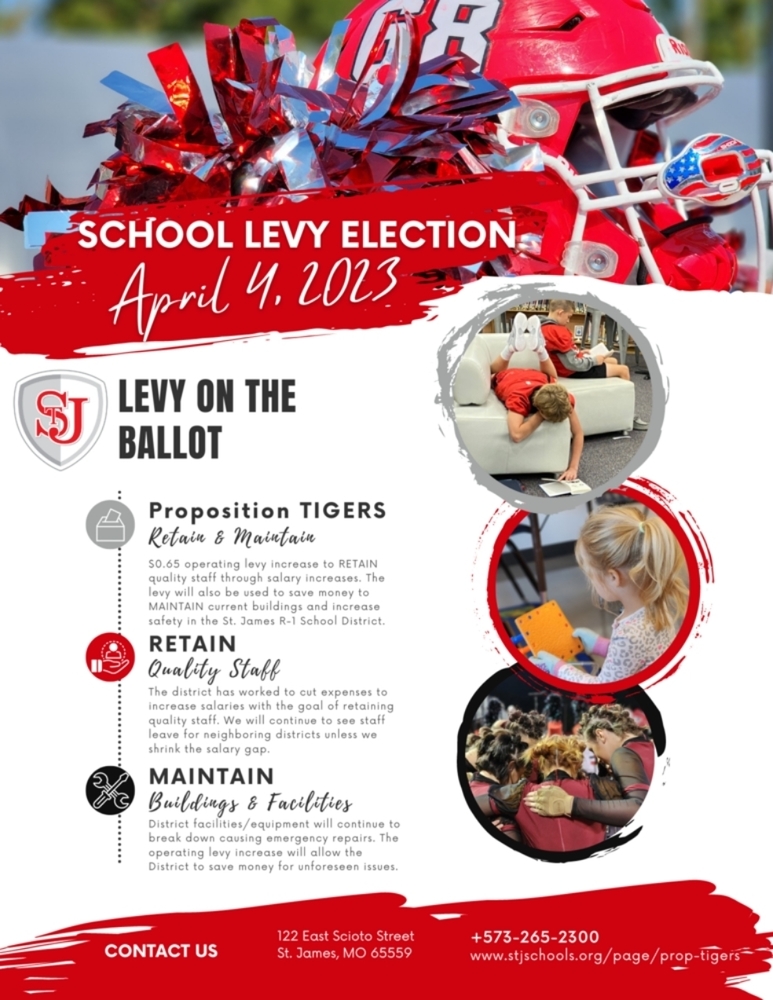 Levy on the Ballot