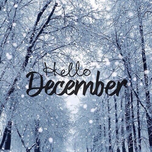 Hello December!