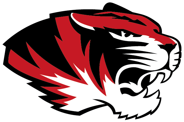 Tiger Head Logo
