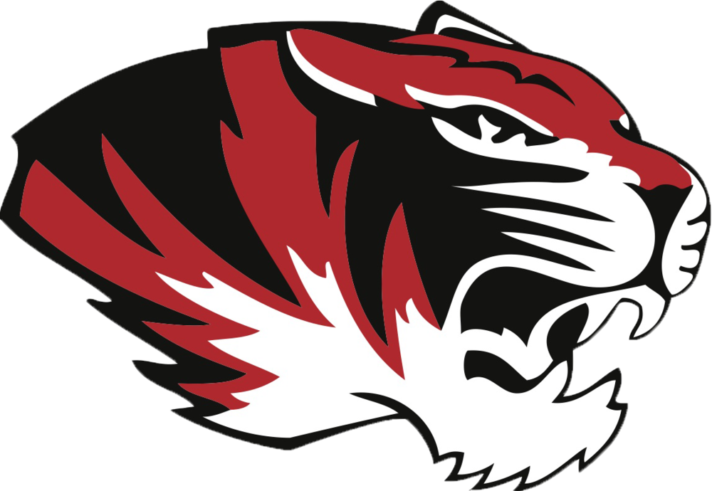 Tiger Head Logo 