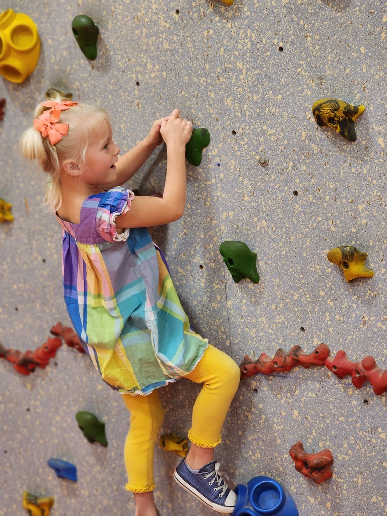 Kindergarten students rock climb in PE.